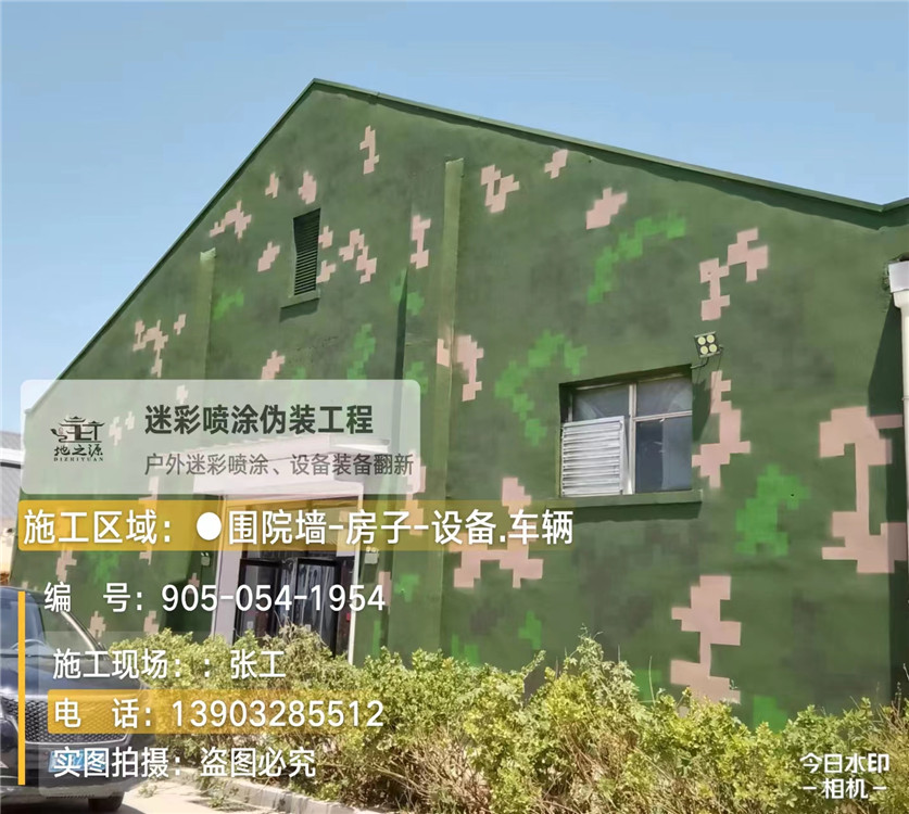 临夏外墙数码迷彩漆施工报价清单（100㎡标准墙面测算）